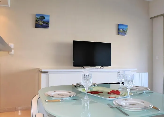 2p En Bord De Mer, 4 Couchages, Marina, Proche Gare Et Centre, Parking Velos Et Scooters - Fr-1-252a-9 Apartment Villeneuve-Loubet